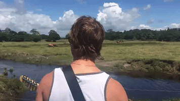 Paul Banks Guitar GIF