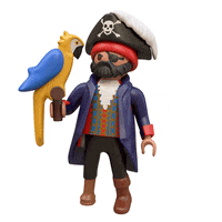 Pirate Captain GIF by PLAYMOBIL