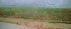 Vietnam GIF