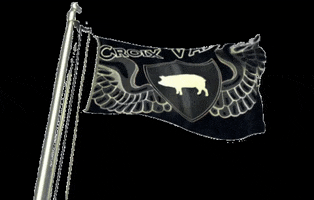 Croix Valley GIF