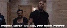 Fast And Furious Wolves GIF by The Fast Saga