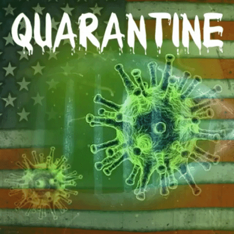 Quarantine GIF