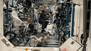 International Space Station GIF by NASA