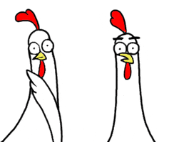chicken bro GIF by happydog