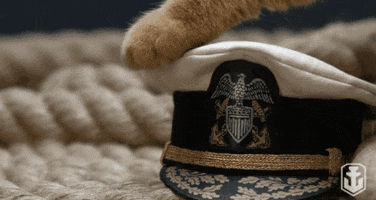 Cat Kitty GIF by World of Warships