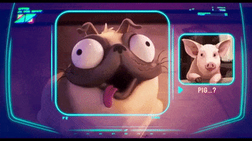 Dog GIF