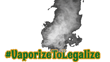 Robert Sticker by Florida Marijuana