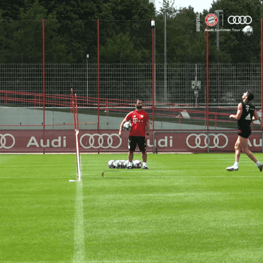 Robert Lewandowski Fun GIF by FC Bayern Munich