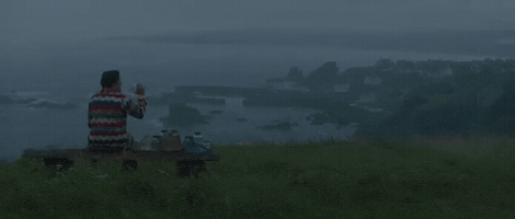 Harry Styles GIF