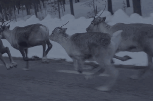 200.gif?cid=fc005b08bc2cb15467f3cf5efaf1f7dfa41da4dd7468b8cc&rid=200.gif&ct=g