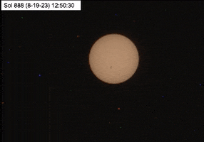 Animated GIF