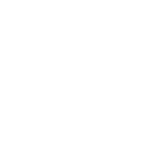 Lexus Society Sticker