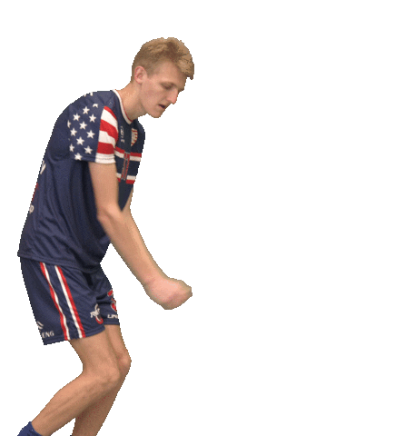 Team Usa Dancing Sticker by USA Floorball