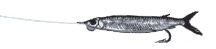 Fish Tackle Sticker by Put Me Outside