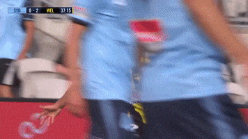 Wellington Phoenix FC GIF