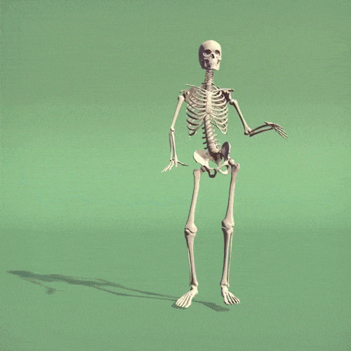 3D Skeleton Dancing GIFs Find & Share on GIPHY