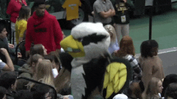 Griffin Dancing GIF by William & Mary Tribe Athletics
