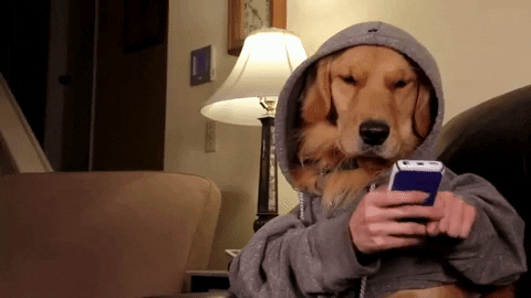 Teenage Dogs GIFs - Get the best GIF on GIPHY