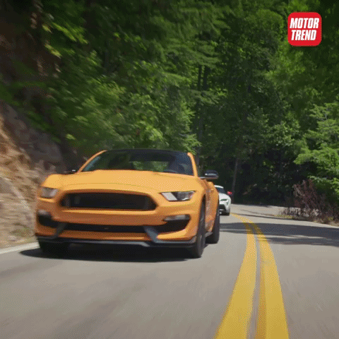 Featured image of post Mustang Gifs The best gifs are on giphy