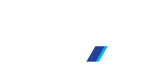 All Nippon Airways Sticker