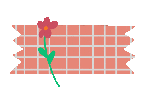 Meet Milo: 500th joey from Tasmanian devil breeding program - ABC News