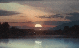 Motorbike GIF by Leon Bridges