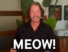 Hey Hey Flirt GIF by Rockwell Trading