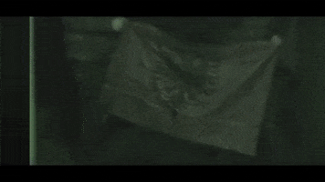 Flag Flex GIF by GRMV