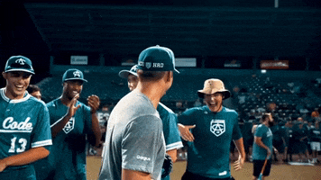 Area Code Baseball GIF