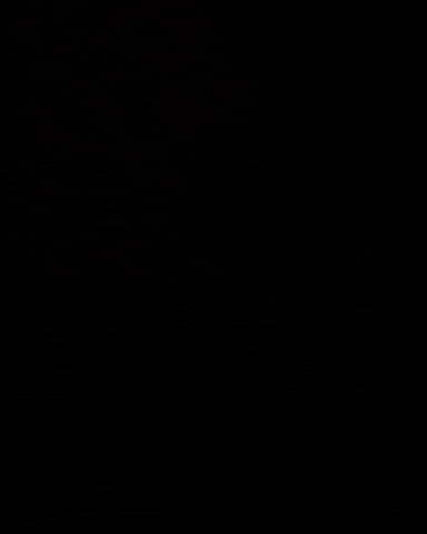 Angrybird GIF