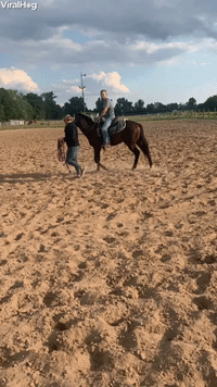 Horse Rider Wasn't Quite Ready for Takeoff