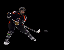 Ice Hockey Goal GIF
