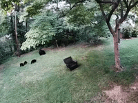 Bear Cubs' Playtime Interrupted by Loud Crash as Mama Knocks Over Trashcan