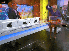 Jim Cantore Fall GIF by The Weather Channel