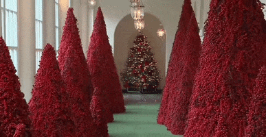 White House Christmas GIF by GIPHY News