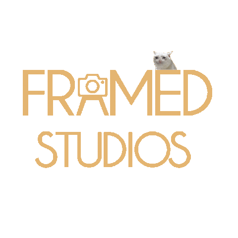 Sticker by Framed Studios