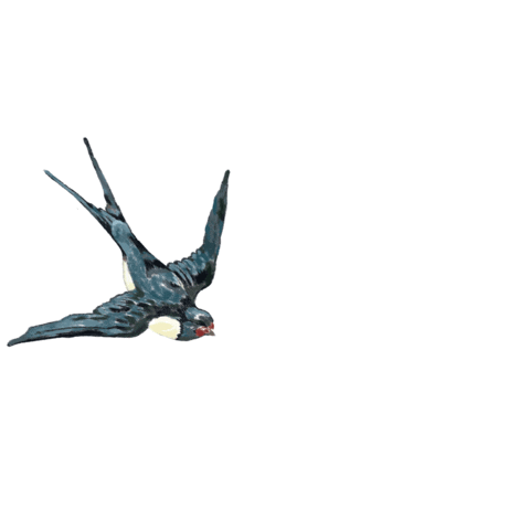 Bird Flying Sticker by Les Néréides