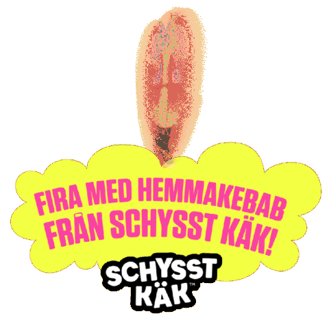 Kebab Sticker by Schysst Käk