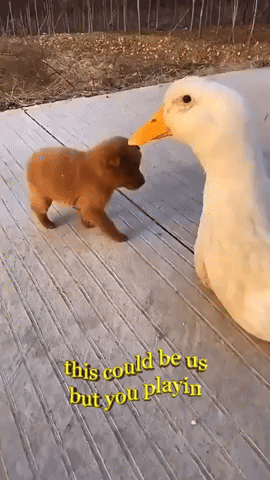 This Could Be Us But You Playin By Dawn Jefferson