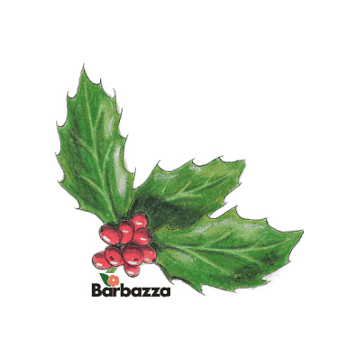 Christmas Winter Sticker by Barbazza Garden