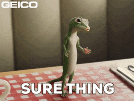 No Problem Of Course GIF by GEICO