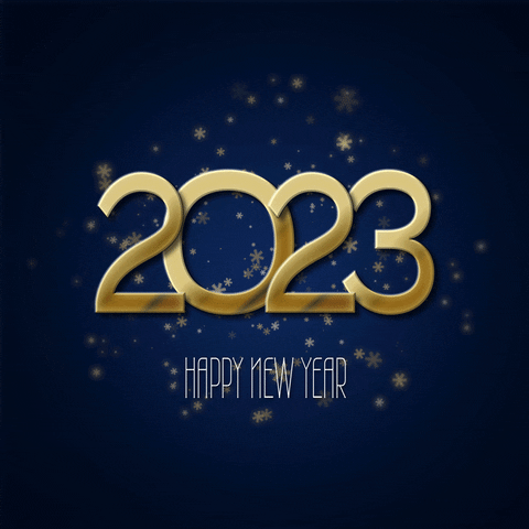 Happy New Year GIF - Find & Share on GIPHY
