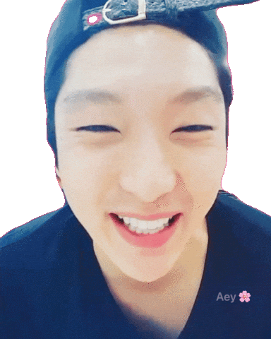 Lee Joon Gi Smile Sticker