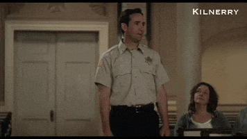 Police Idiot GIF by Love in Kilnerry