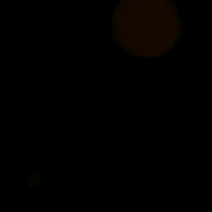 Sport GIF by Ismael Gudiño