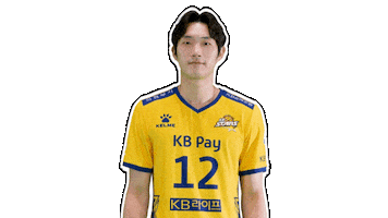 Kb스타즈 Sticker by KB STARS VOLLEYBALL CLUB