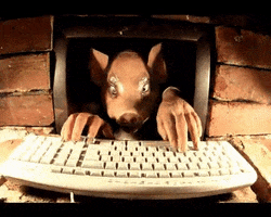 angry typing GIF by David Firth