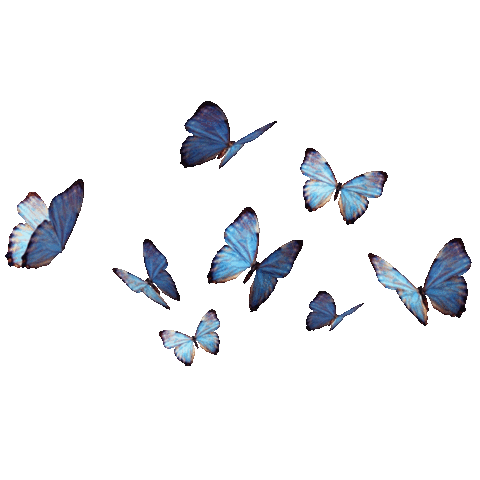Beauty Sticker