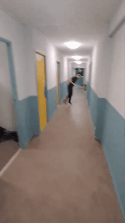 Wbd GIF