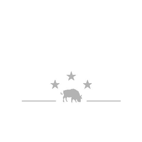 Food Life Sticker by La Stella Cheese